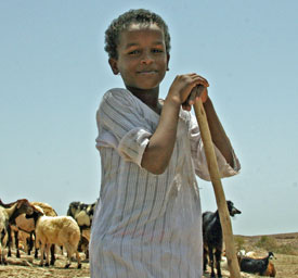 Young Bedouin